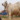 milk production
