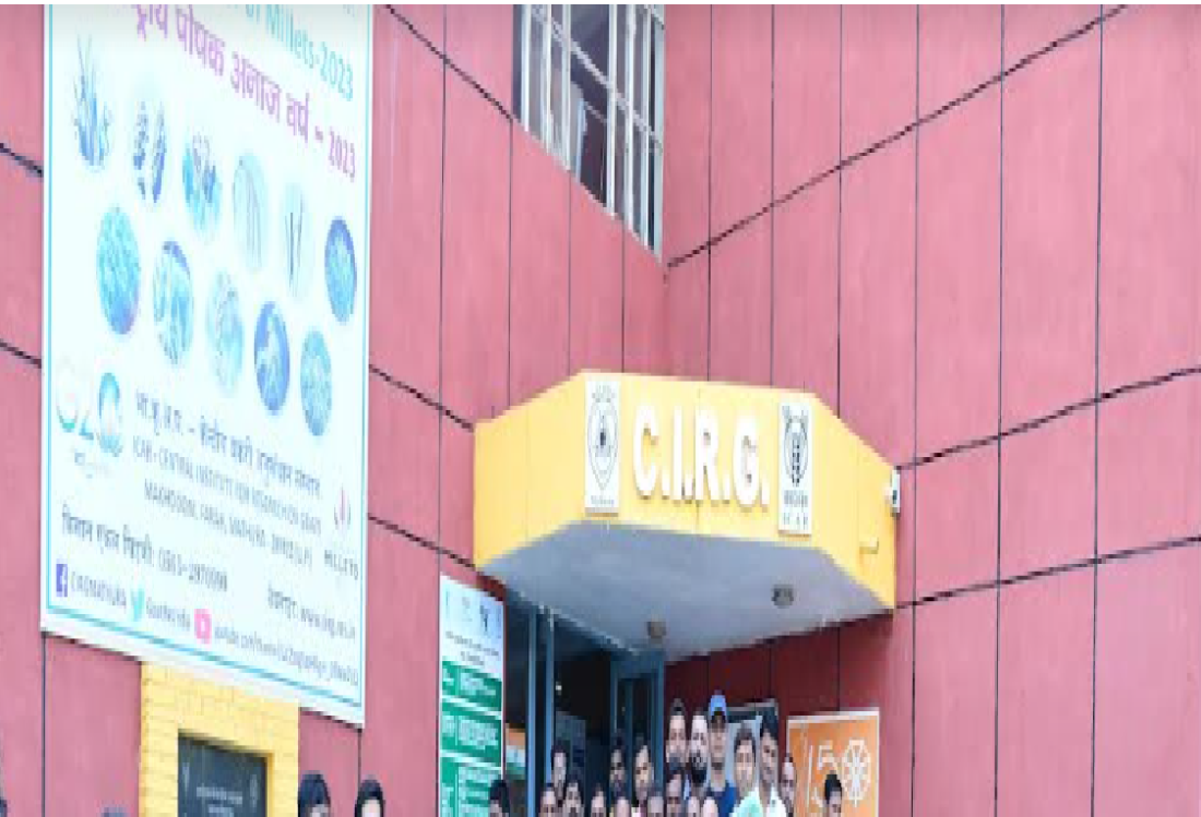 cirg in hindi