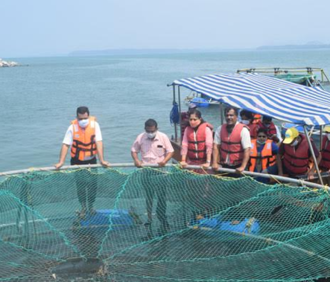 ‘Need national guideline on eco-labeling of marine fishery resources’