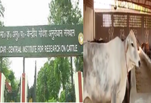 Central Cattle Research Institute, Meerut,