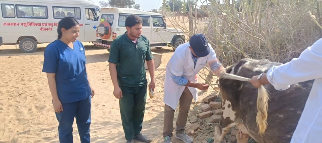 RAJUVAS, Animal Husbandry, Veterinary University. livestocanimalnews