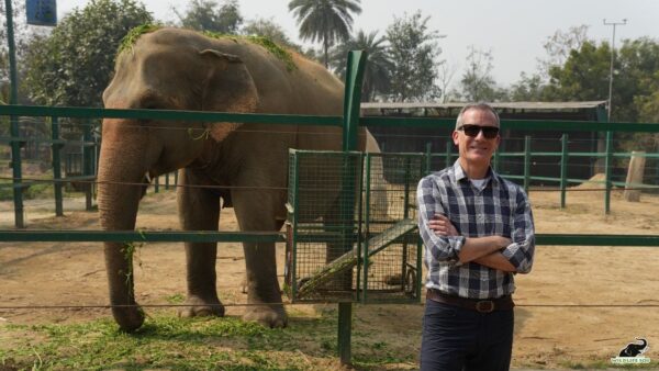 US Ambassador Eric Michael Garcetti Elephant Conservation Center, Agra Bear Conservation Center,ive Stock Animal News