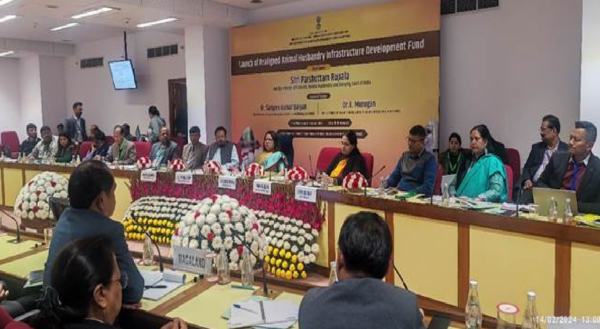 animal husbandry and dairy sector