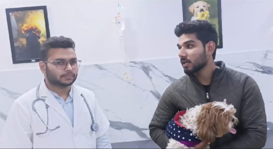 dr ajay kumar vet, livestockanimalnews