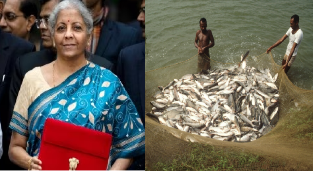 Interim Budget 2024