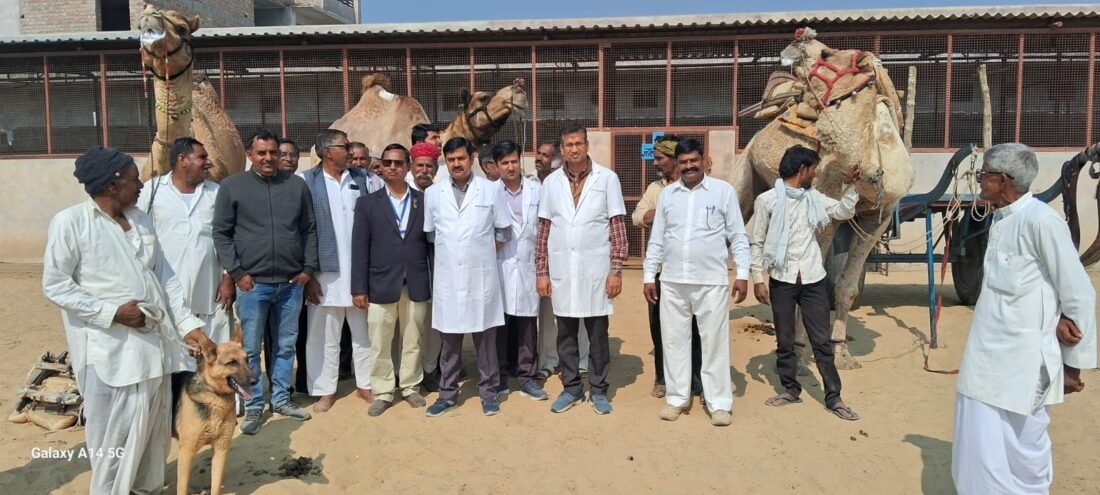 rajvasu, livestockanimalnews