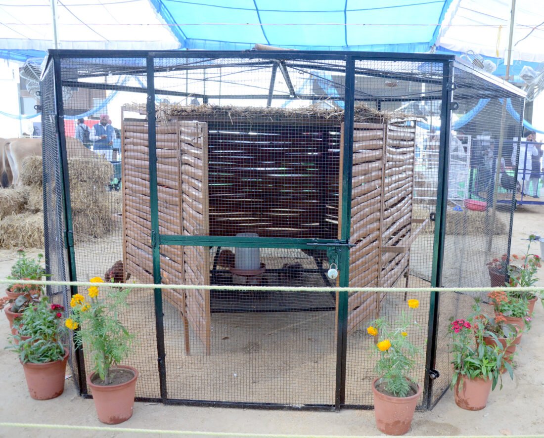 Guru Angad Dev Veterinary and Animal Sciences University, Animal Husbandry Fair