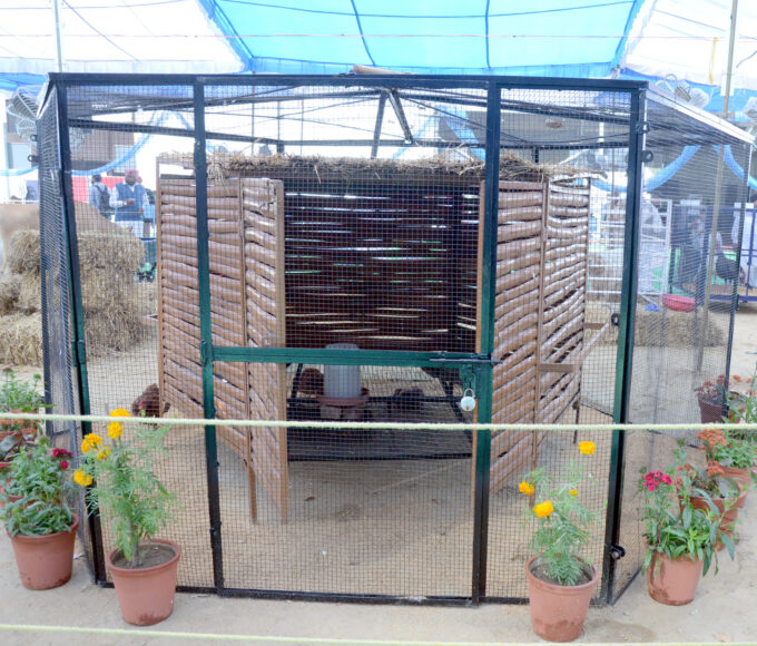 Guru Angad Dev Veterinary and Animal Sciences University, Animal Husbandry Fair