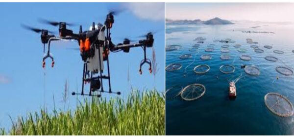 Indian Institute of Soil and Water Conservation, IISWC, Fish Export,