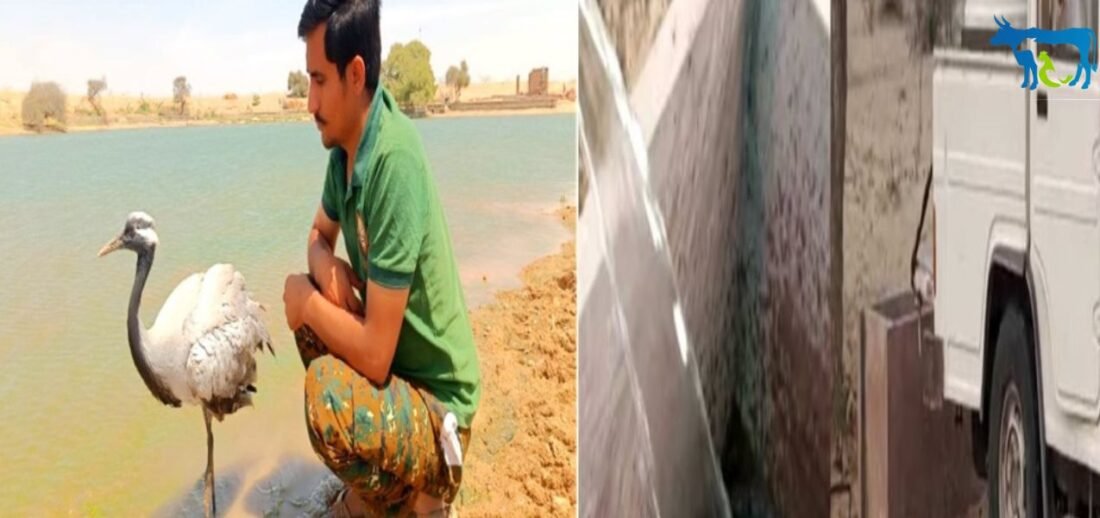 Jaisalmer, Oran, Radheshyam Pemani,Solar Wind, Water Crisis In Jaisalmer
