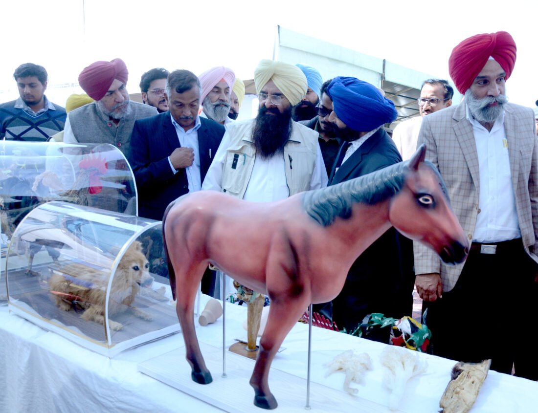 Gadvasu, Guru Angad Dev Veterinary and Animal Sciences University, Animal Husbandry Fair, S. Khuddian visting Mela with Dr. Inderjeet Singh, VC and Officials