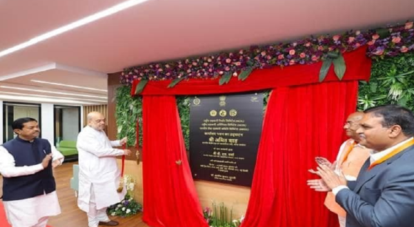 live stock animal news