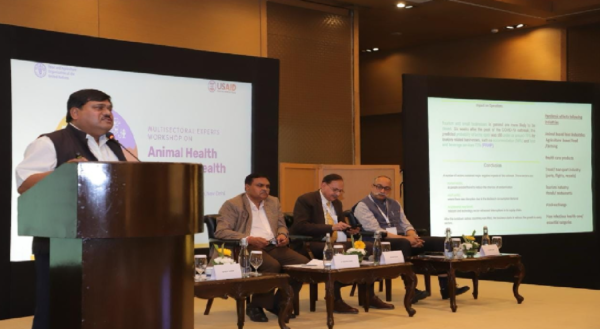 dairy, milk production