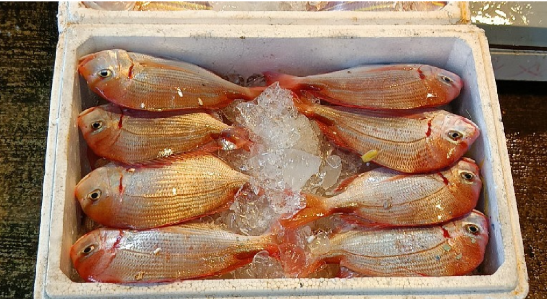 fish farming