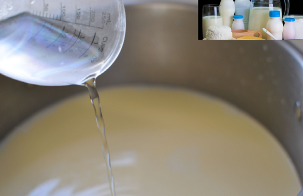 live stock animal news