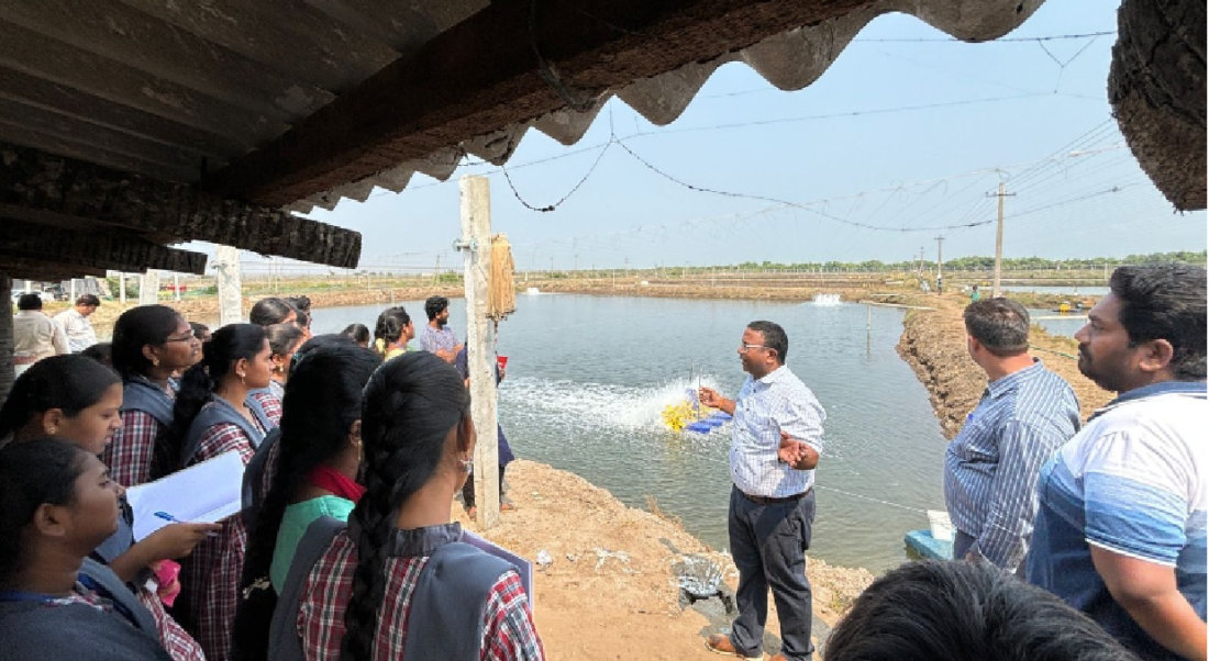 shrimp farming in india