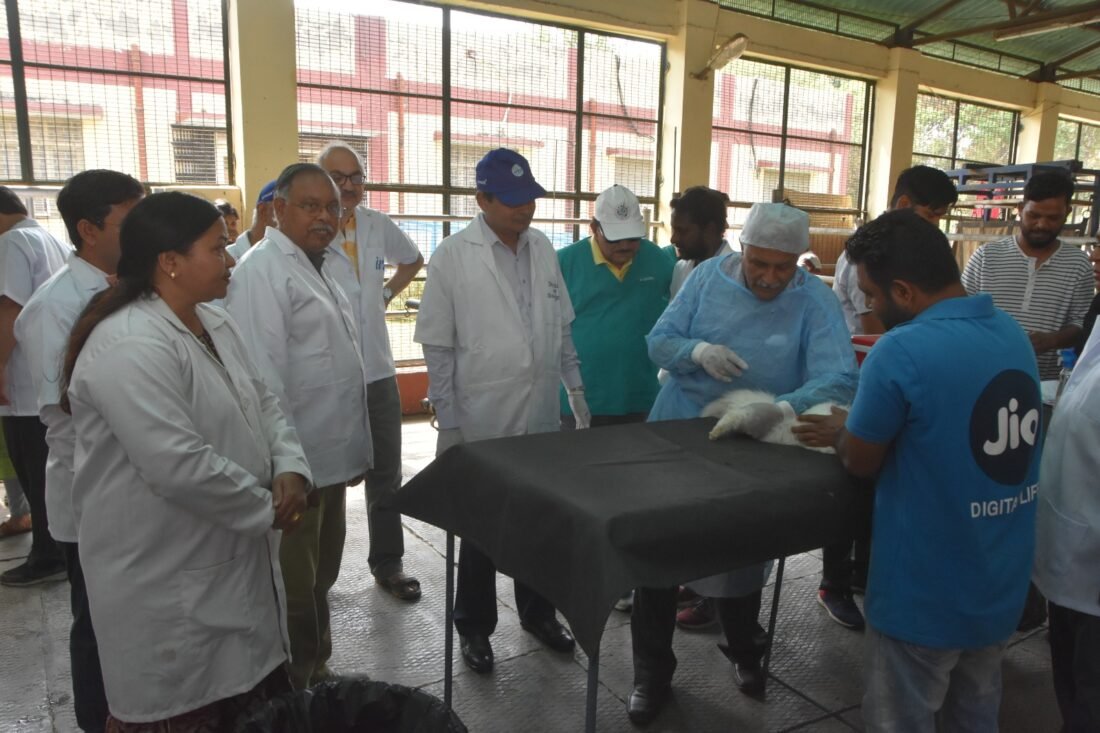 Animal Husbandry, Rabies Vaccine, Gadvasu, World Veterinary Day