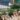 Goat Farming, Goat Farm, CIRG, Pure Breed Goat