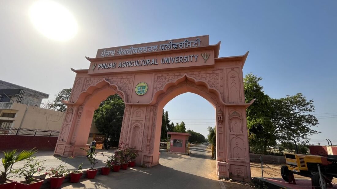 PAU, Punjab Agricultural University, PAU News