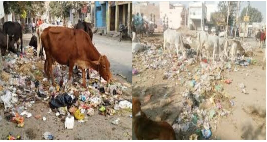 Jaisalmer, Dumping Yard, Waste Management, Solar Company, Oran, Jaisalmer News,