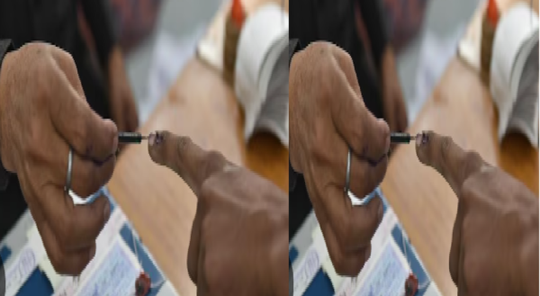 Indian Veterinary Council