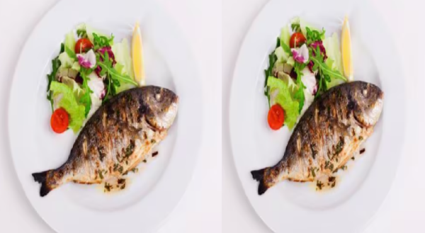 livestock animal news