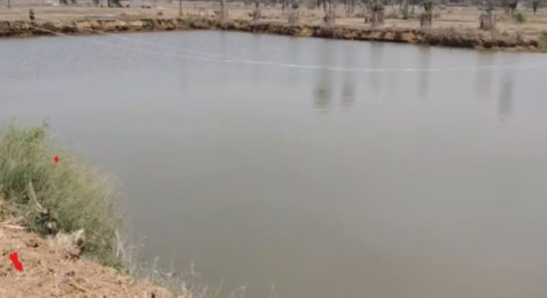 Animal Husbandry, Fish, Duck Farming, Poultry Farming
