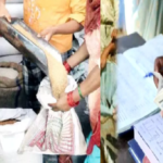 livestock animal news