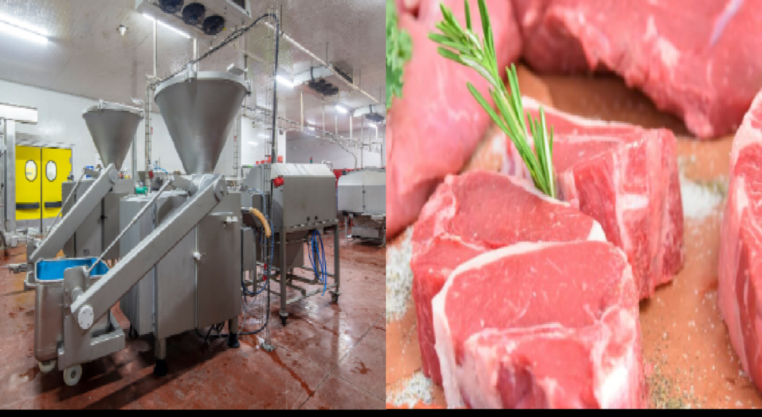 livestock animal news, meat processing