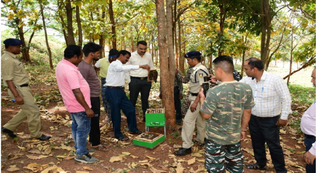 beekeeping in india