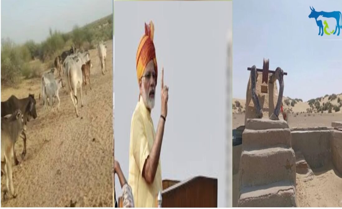 Oran, Gochar, Jaisalme, Barmer, PM Modi, PM Modi in Jaisalmer, Oran Bachao Andolan,