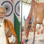 oran animal husbandry