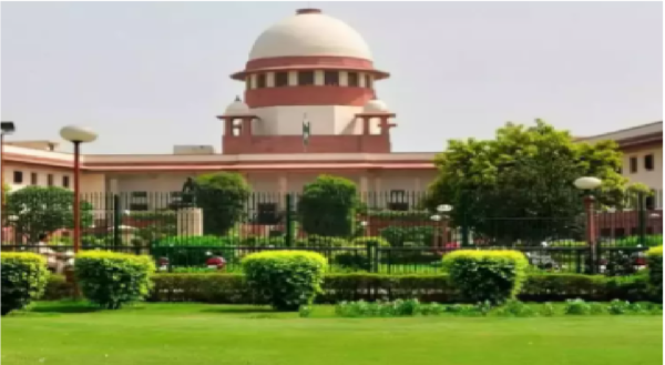 livestock animal news