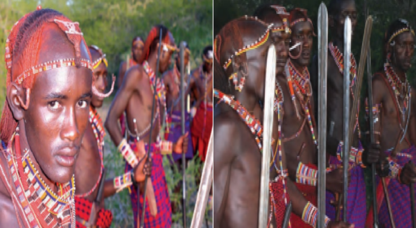 livestock animal news