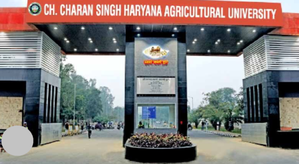 Livestock Animal news