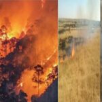 आपदा प्रबंधन विभाग ने लोगों से अपील की है कि जलती हुई बीड़ी, सिगरेट, माचिस की तीलियां ऐसे ही ना फेंके. कुछ सावधानियां बरती जाएं तो आग लगने के खतरे को काफी कम किया जा सकता है.