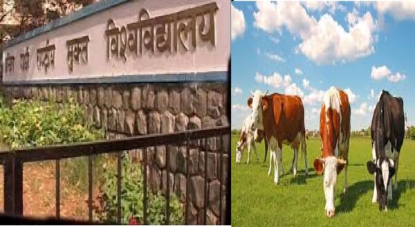 IGNOU, Indira Gandhi National Open University, Post Graduate Diploma in Animal Welfare, PGDAW,