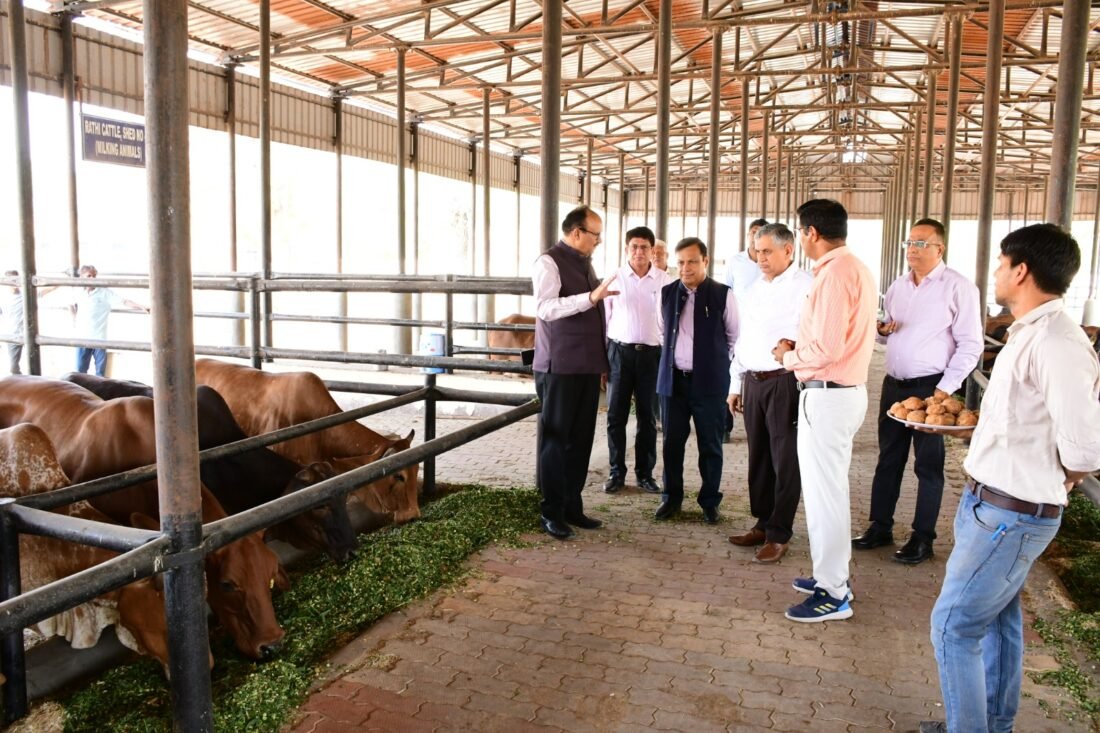 Menstruation, lumpy disease, milk production, foundation day of Rajvasu, fundation day of Rajasthan Veterinary and Animal Sciences University, Bikaner