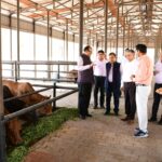 Menstruation, lumpy disease, milk production, foundation day of Rajvasu, fundation day of Rajasthan Veterinary and Animal Sciences University, Bikaner