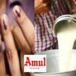 livestock animal news