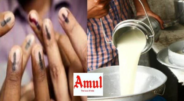 livestock animal news