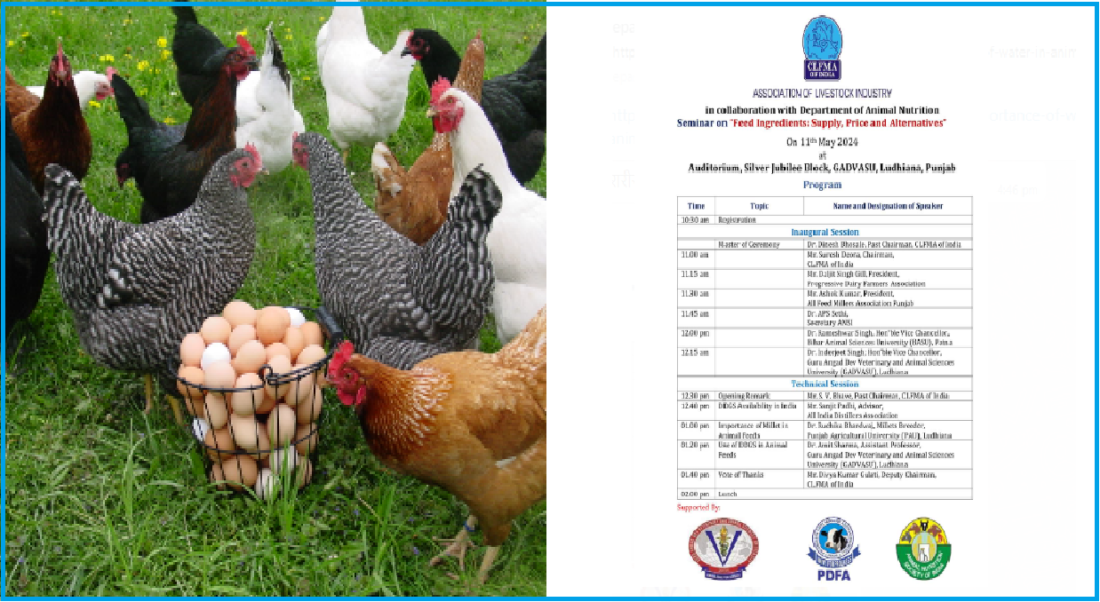 poultry feed need