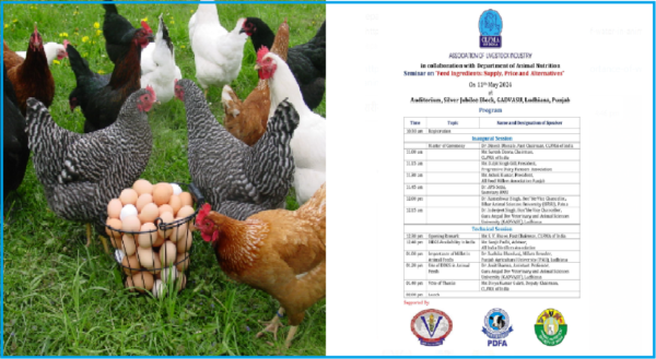 poultry feed need
