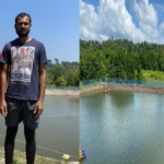 shrimp farming live stock animal news