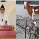 Bakrid, Eid-ul-Azha, Bakrid on 17th June, Sunnah of kurbaanee, kurbaanee of healthy animal