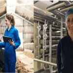 NDRI, Ganavasu, Career in Dairy Sector, Courses in Dairy, Jobs in Dairy Sector