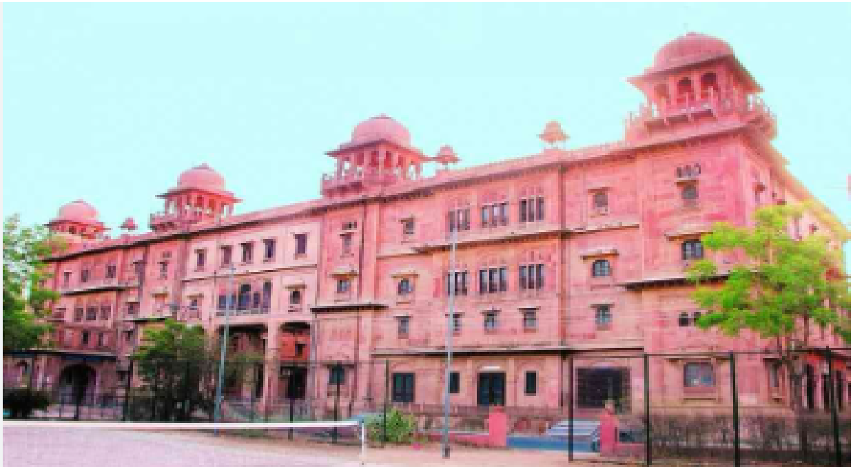 livestock animal news