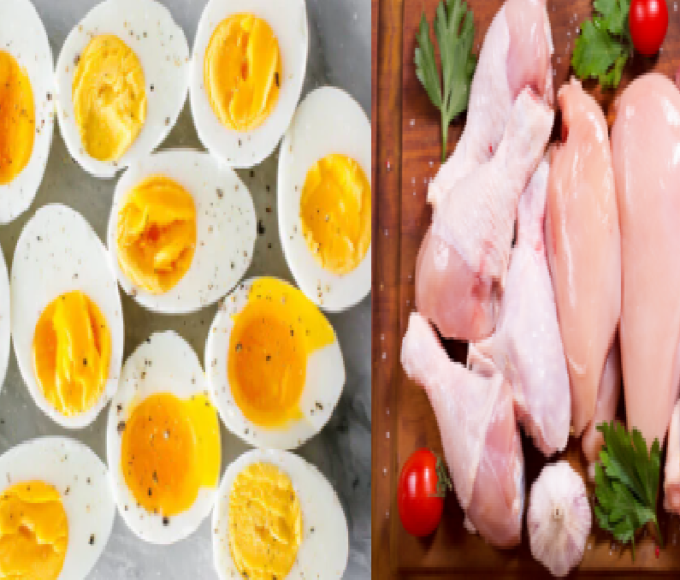 livestock animal news