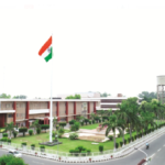 livestock animal news