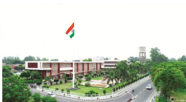 livestock animal news